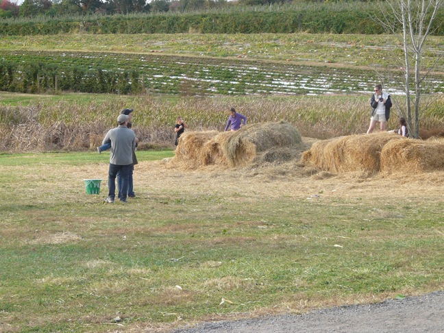 hay bales