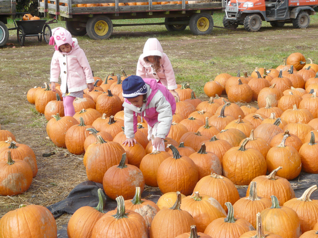 3 'kids' with pumpkins