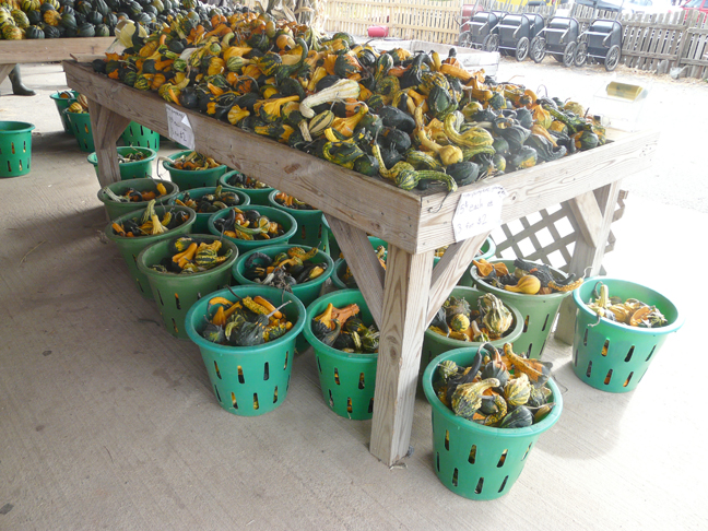 gourd table