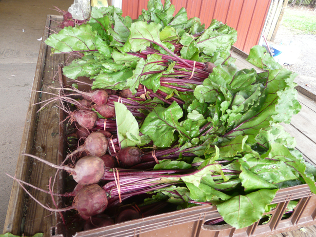 fresh beets