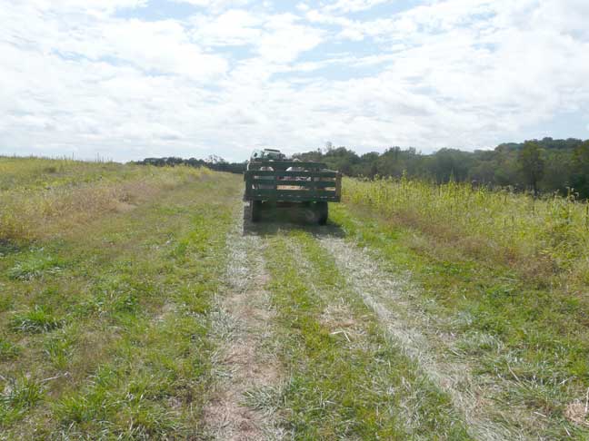 hayride