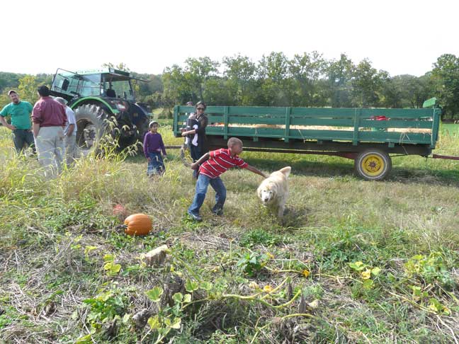 pumpkin patch tess