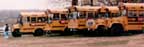 Buses parked at Homestead Farm