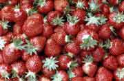 Strawberries!