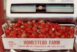 Box of Strawberries!