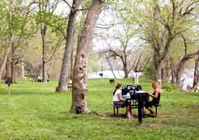Picnic