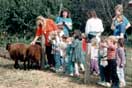 Group at the sheep pen